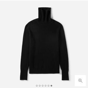 Everlane cashmere turtleneck